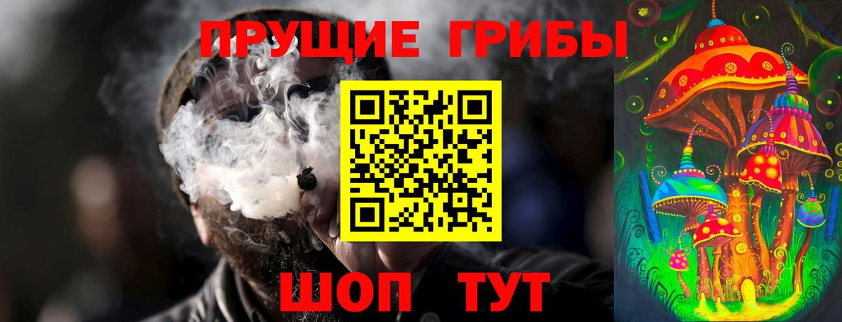 Советск  Галлюциногенные грибы MAGIC MUSHROOMS  Вход с VPN 